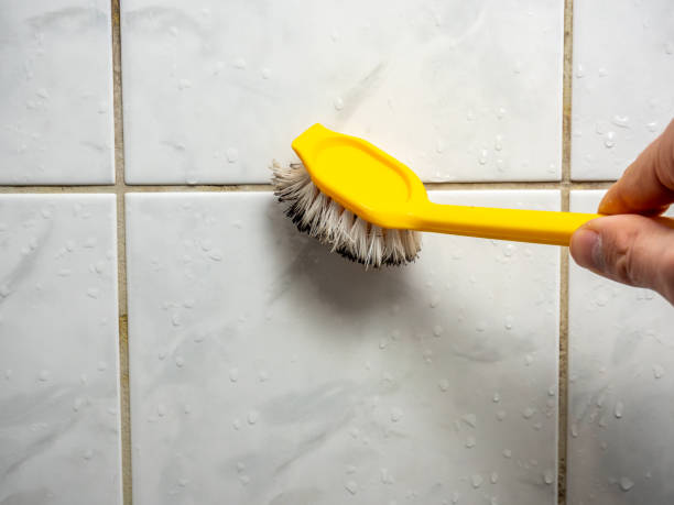 Best Mold Cleaning Services  in Waco, TX