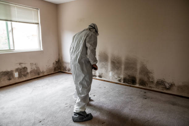 Best Mold Testing  in Waco, TX